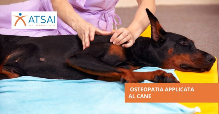 Corso di Osteopatia applicata al Cane ATSAI